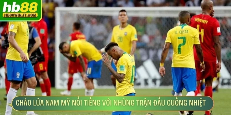 Chảo Lửa Nam Mỹ - Sống Trọn Bầu Không Khí Sôi Động Nhất Chảo lửa Nam Mỹ nổi tiếng với những trận đấu cuồng nhiệt nhất